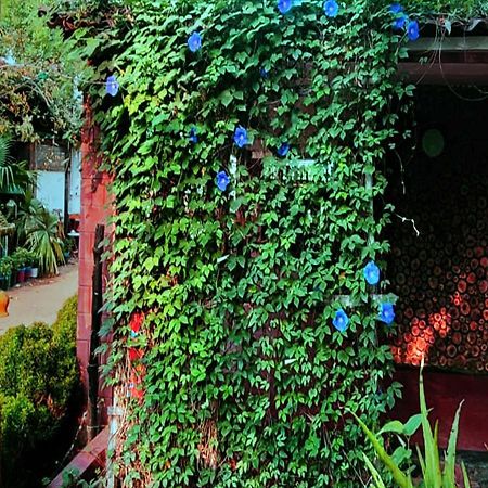Panchobon Art Resort Shānti Niketan エクステリア 写真