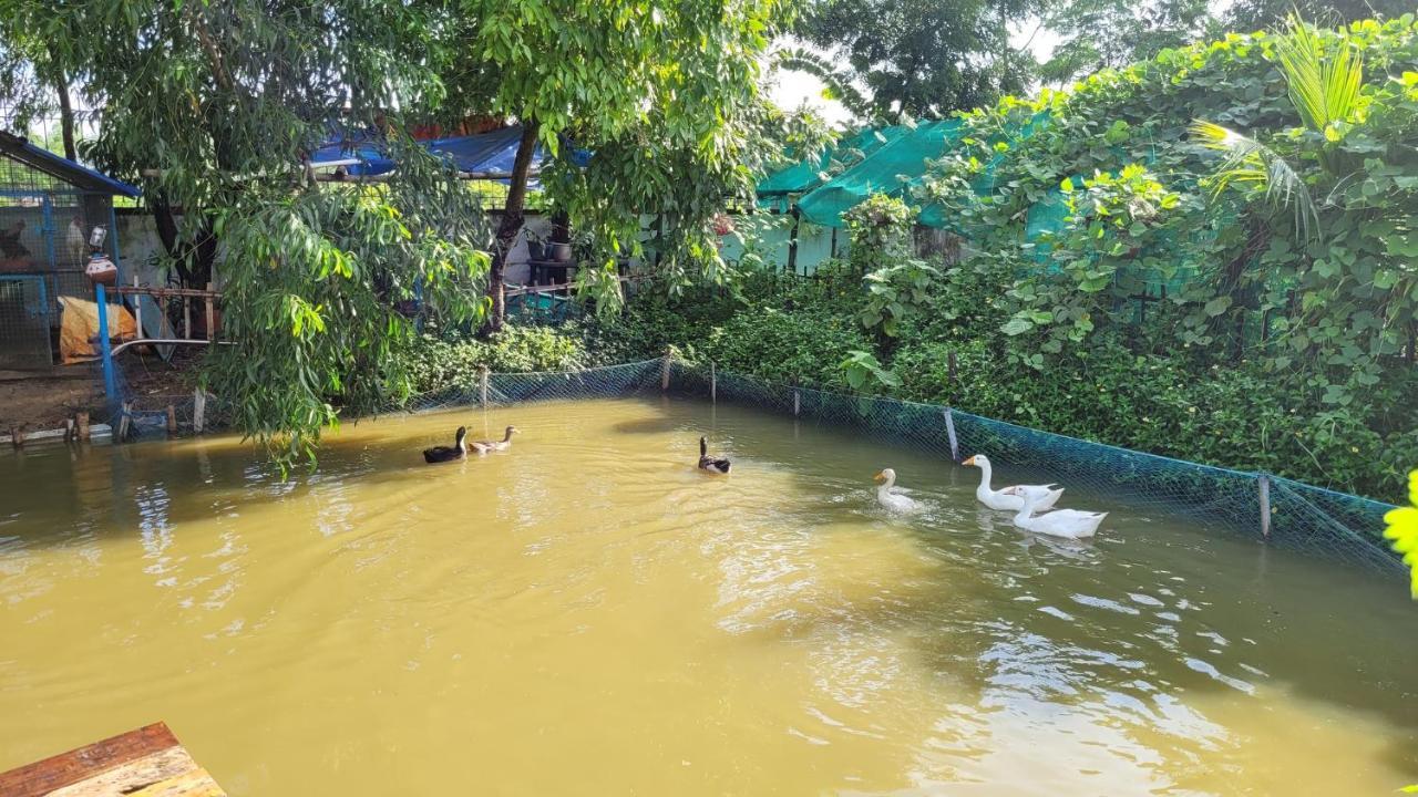 Panchobon Art Resort Shānti Niketan エクステリア 写真